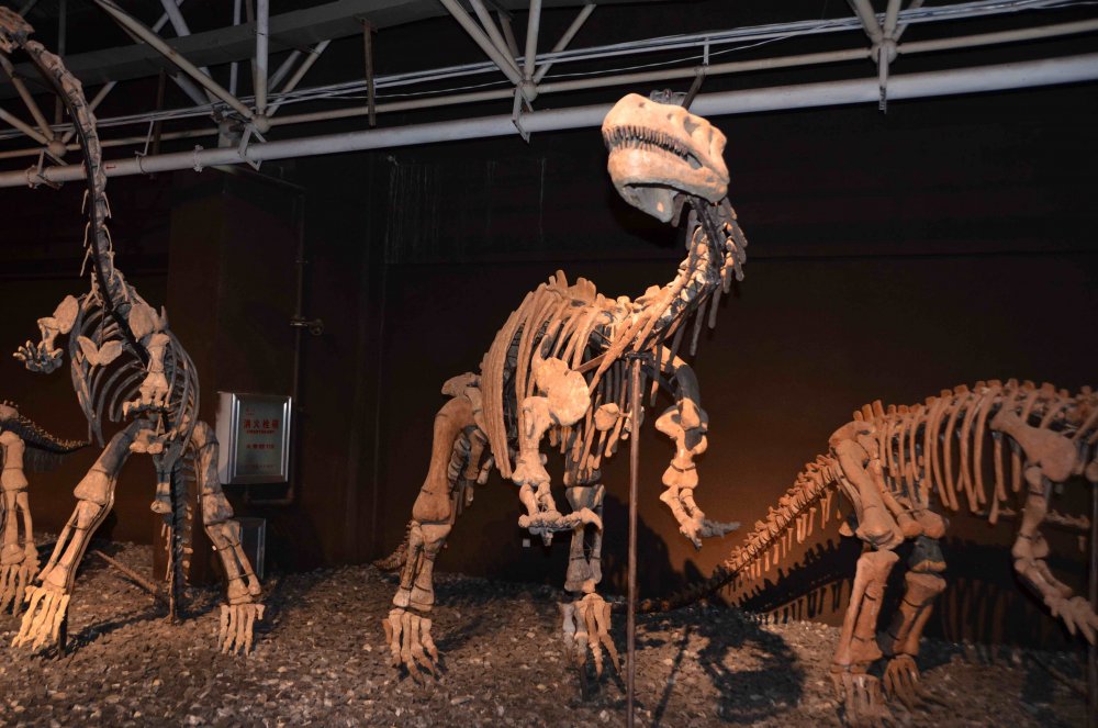 Jurassic Park Jurassic Park